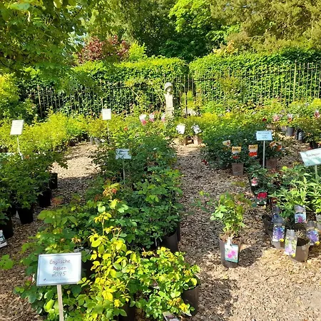 Apartment Naehe Willingen Und Winterberg *