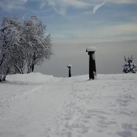 Apartment Naehe Willingen Und Winterberg Bruchhausen (Hochsauerlandkreis)
