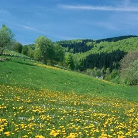 Fantastic Near Willingen Apartment Bruchhausen (Hochsauerlandkreis)