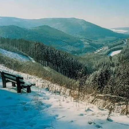 Naehe Willingen Und Winterberg *