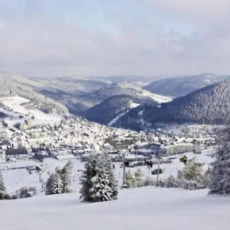 Naehe Willingen Und Winterberg Bruchhausen (Hochsauerlandkreis)