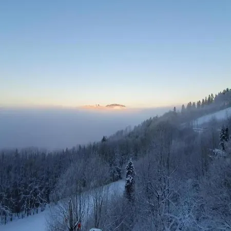 Naehe Willingen Und Winterberg Apartment