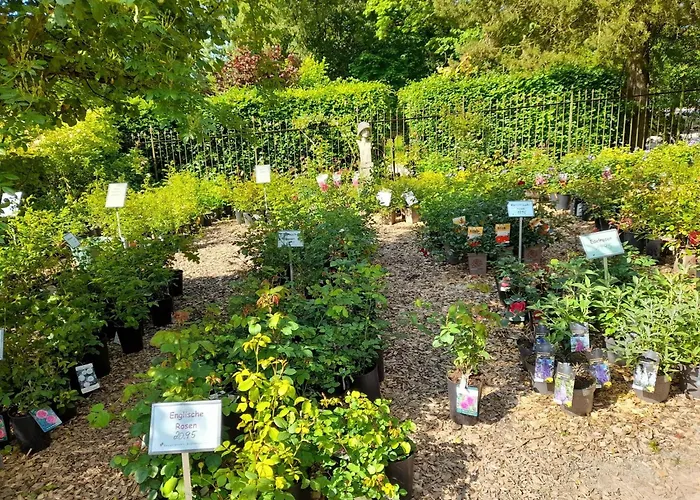 アパート Naehe Willingen Und Winterberg *