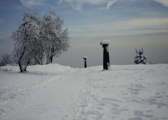 アパート Naehe Willingen Und Winterberg Bruchhausen