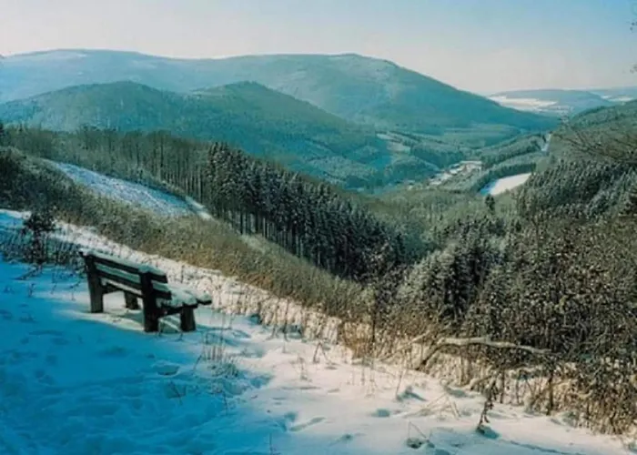 Naehe Willingen Und Winterberg *