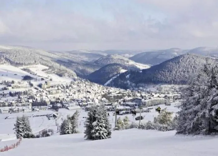 Naehe Willingen Und Winterberg Bruchhausen