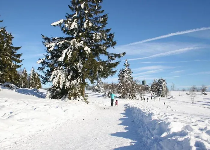 Naehe Willingen Und Winterberg