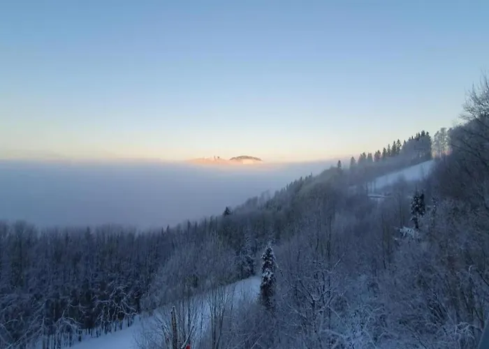 Naehe Willingen Und Winterberg アパート